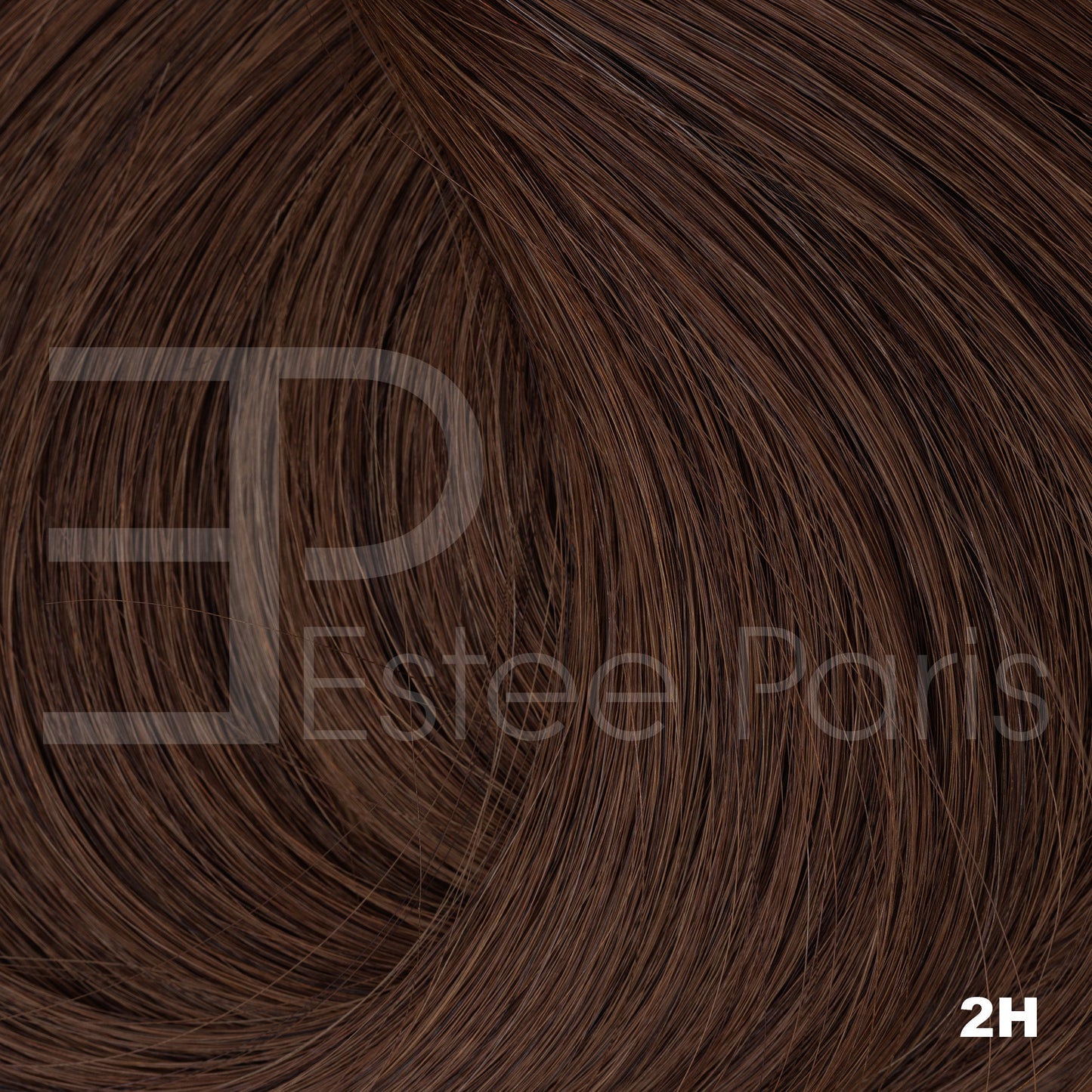 Estee Paris hair weft/weave #2H