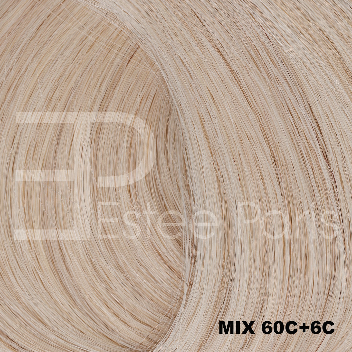 Estee Paris hair weft/weave # Mix 60 c +6C