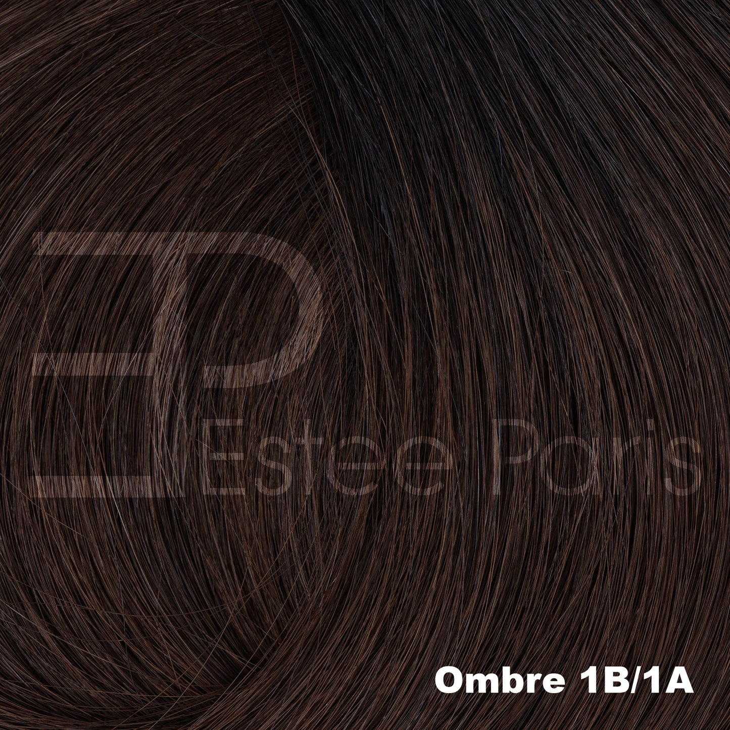 Estee Paris hair weft/weave #Ombre 1B/1A