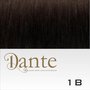 Dante Flex S1B