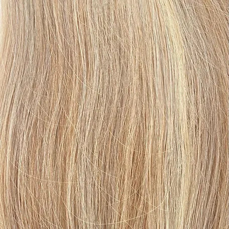 DS Clips In Light Natural Straight 882