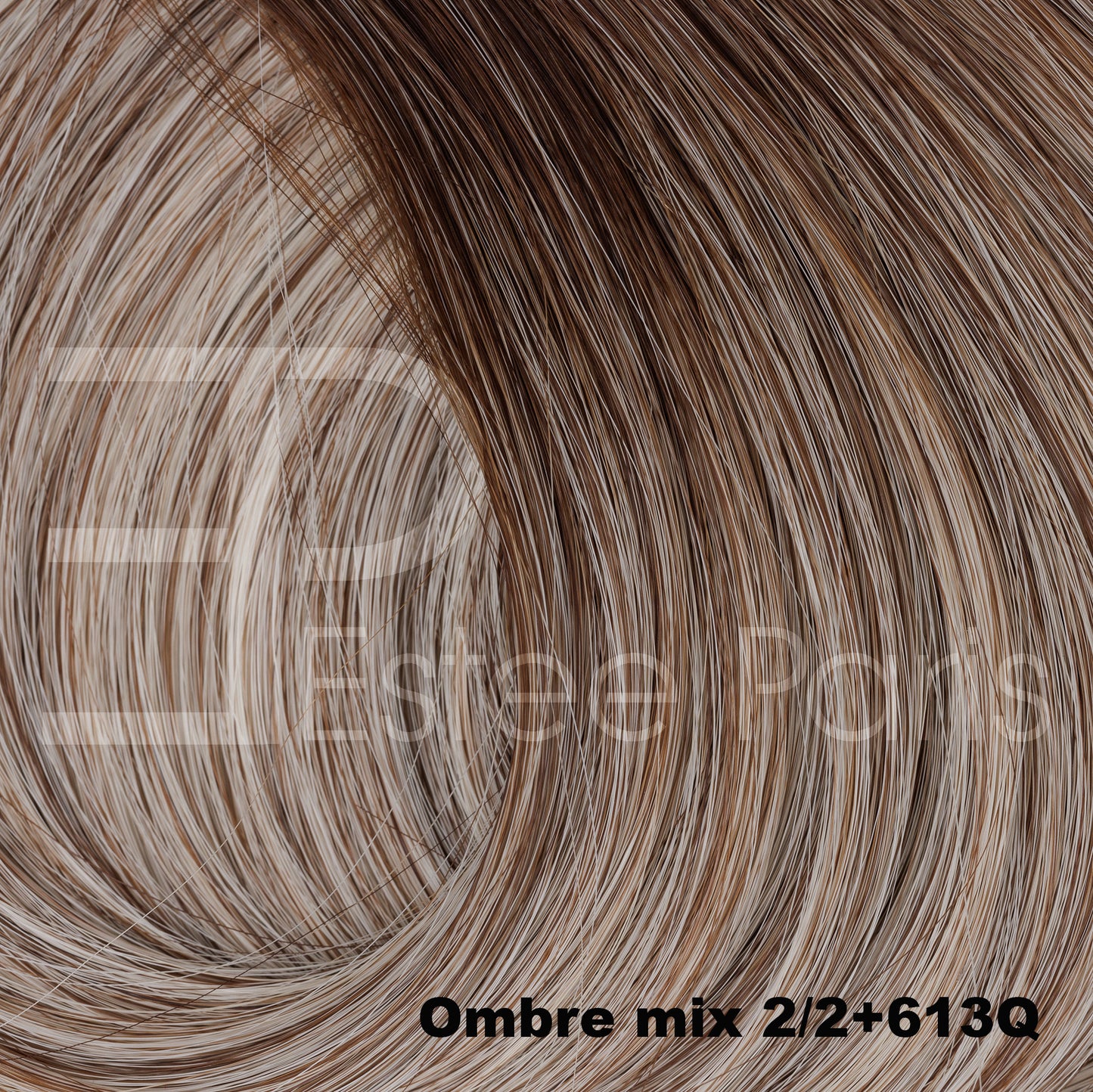Estee Paris hair weft/weave # Ombre 2/2+613Q